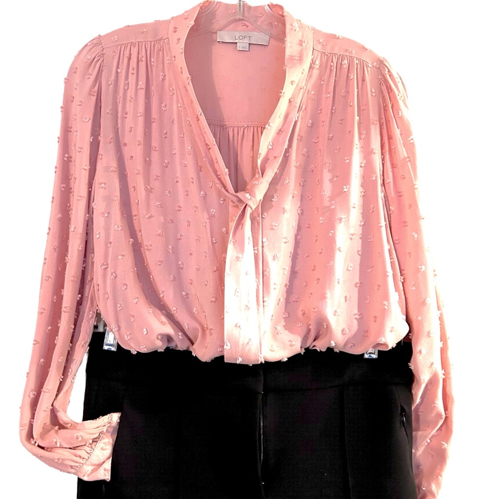 🌸LOFT Swiss Dot Pink Blouse